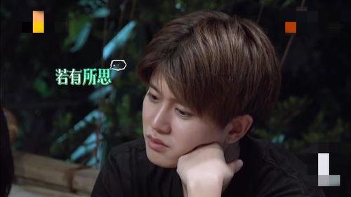 娱乐圈真实爆料任嘉伦,娱乐圈背后的励志人生与情感纠葛